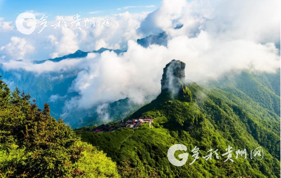 （社会）【国新发布·多彩贵州】绿水青山正在变成金山银山