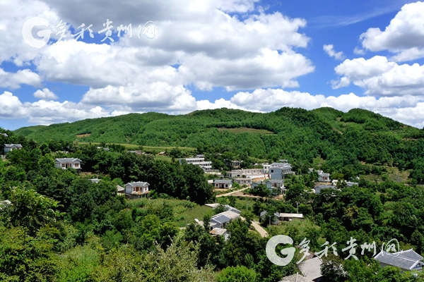 （社会）【国新发布·多彩贵州】绿水青山正在变成金山银山