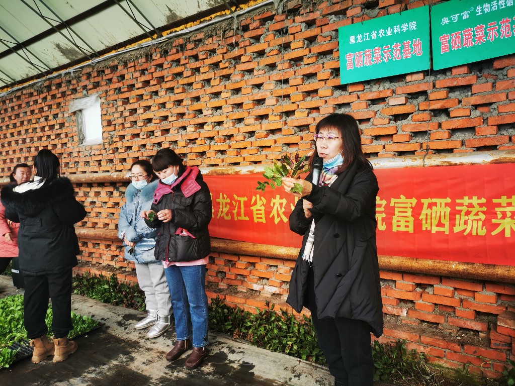 搶抓農時備春耕！哈爾濱市雙城區送物資送科技到田間