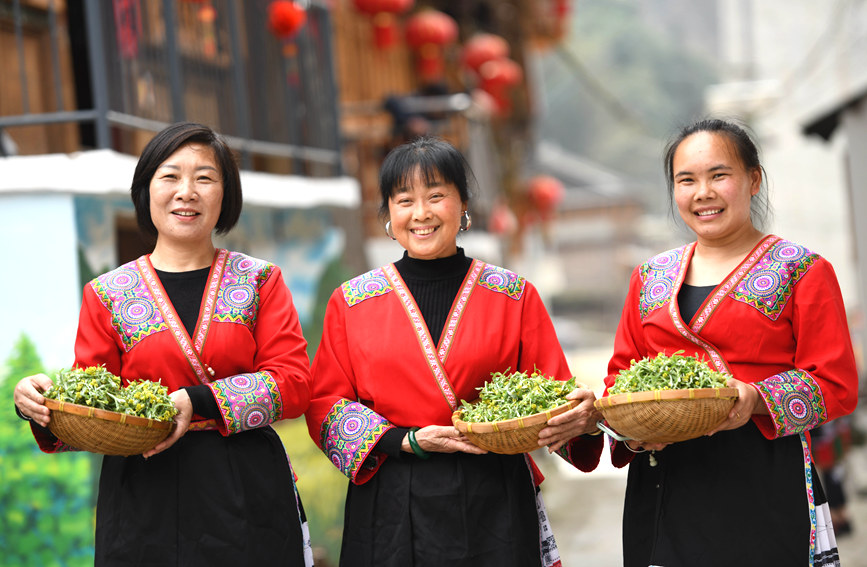 广西龙胜：清明时节 艾粑飘香