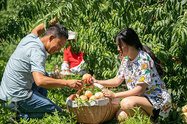 成都龙泉驿区柏合街道三大功能区建设 开启高质量发展新征程_fororder_乡村振兴