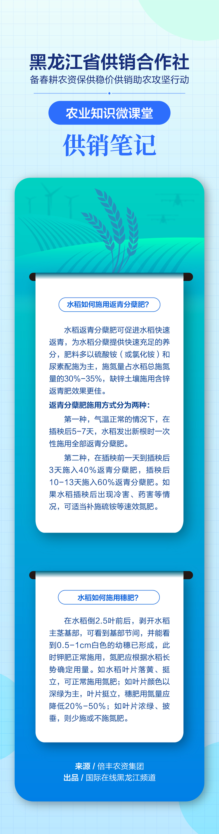 水稻如何科学施肥？“供销笔记”有答案！_fororder_2