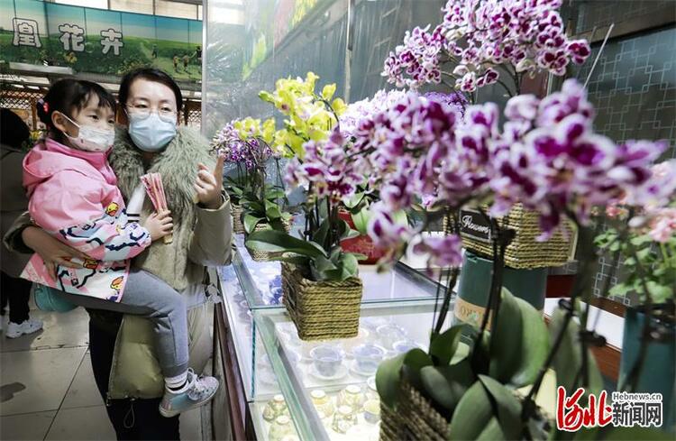 唐山开平：基地+市场发展花卉产业