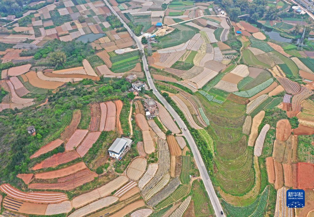 南宁市邕宁区：大地调色板
