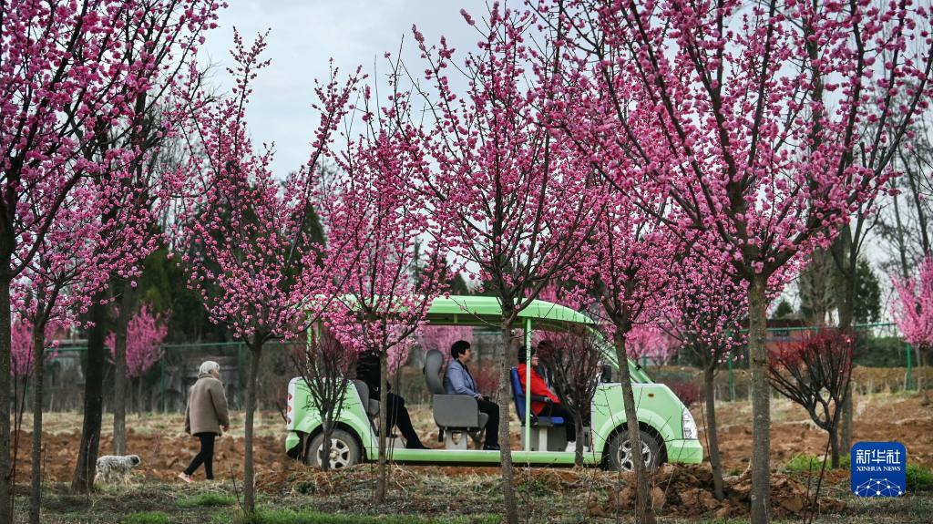 陕西洛南：打造秦岭山水乡村
