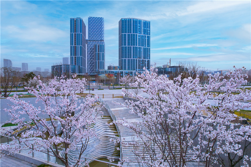 【与春天撞个满怀 打卡最美春景】红意枝头闹 春色满陆港_fororder_dcf625e3d1c436dfb2ad116235256f8