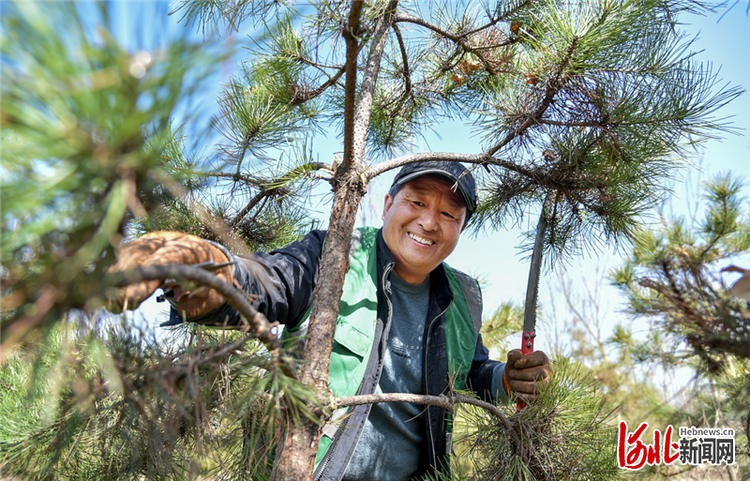 秦安县王东生图片