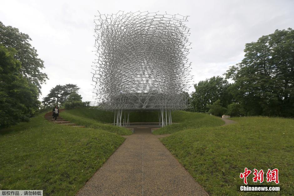 英国艺术家建巨型“蜂巢”建筑 结构复杂堪称鬼斧神工