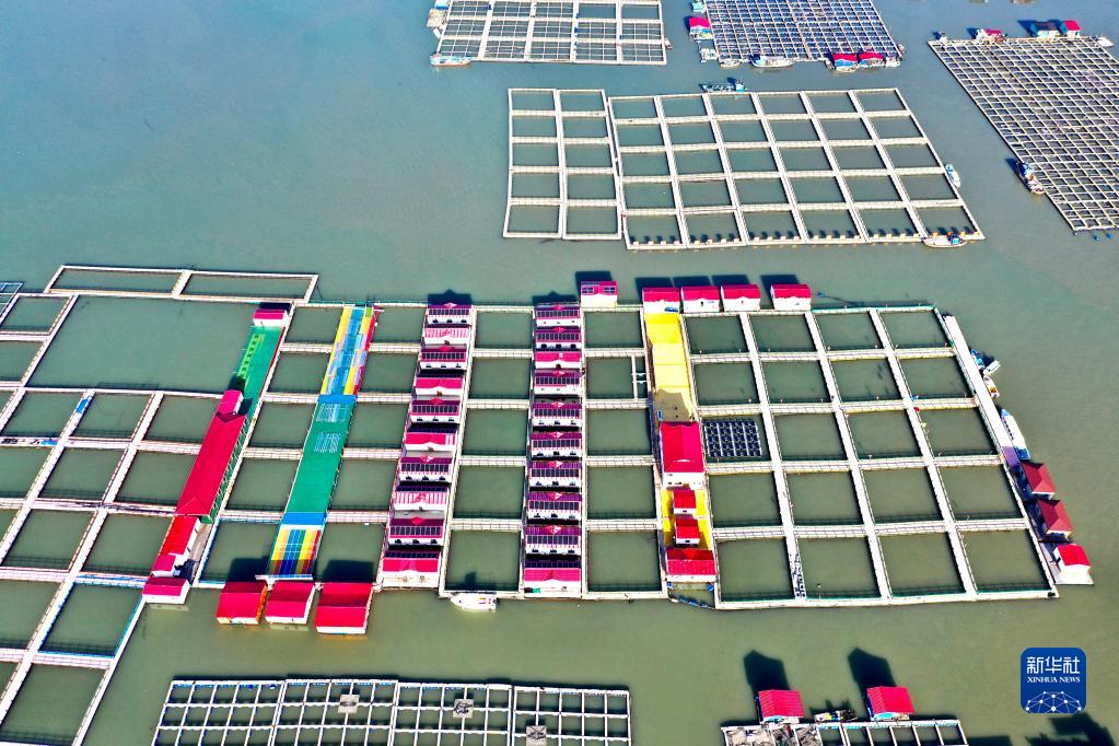 福建宁德：海上田园焕新颜