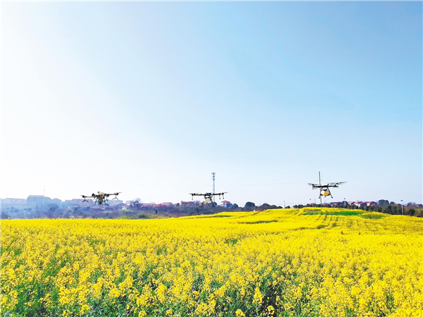 今年春耕很“新潮”——无人农机耕田 专家直播授技_fororder_01