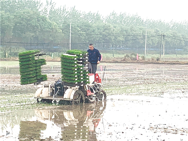 今年春耕很“新潮”——无人农机耕田 专家直播授技_fororder_03