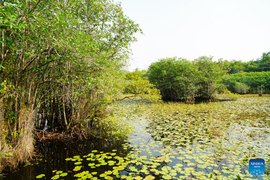 View of Beddagana Wetland Park in Sri Lanka_fororder_1