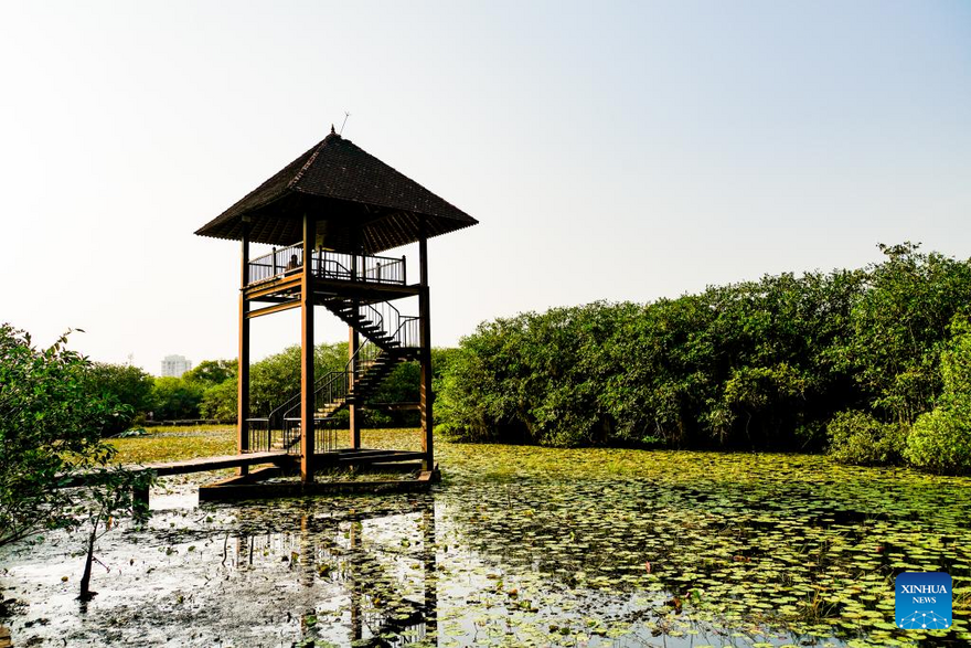 View of Beddagana Wetland Park in Sri Lanka_fororder_4