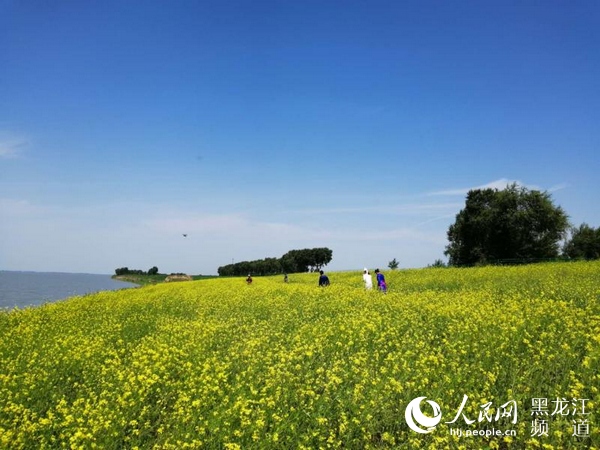 大庆市杜尔伯特南岗村：有“凤”来栖 村民吃上“旅游饭”