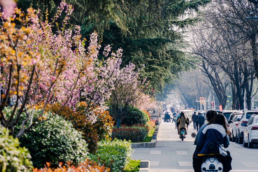 河南汝陽：繁花似錦滿眼春