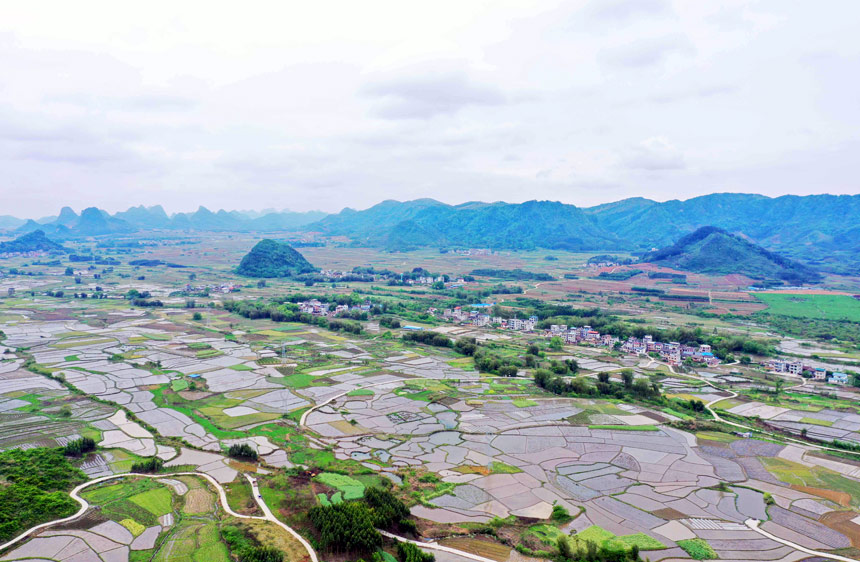 廣西：田園美景入畫來