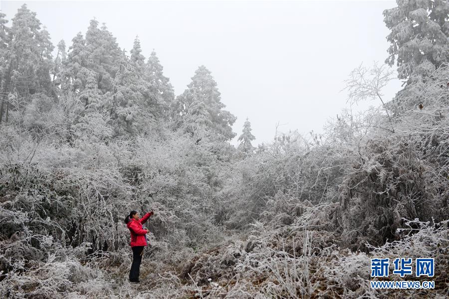 貴州苗嶺國家地質公園冬景美