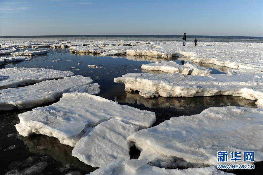 渤海大連北部海域現極地冰原景觀