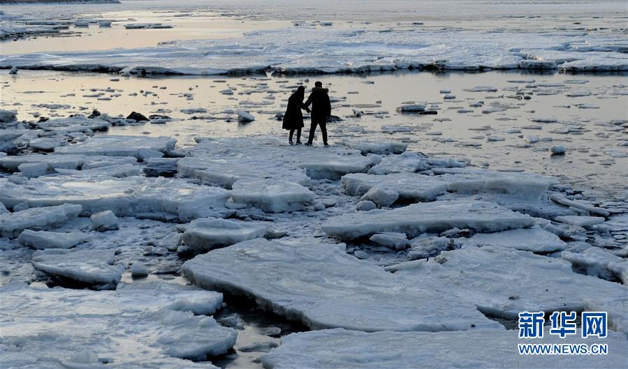 渤海大连北部海域现极地冰原景观