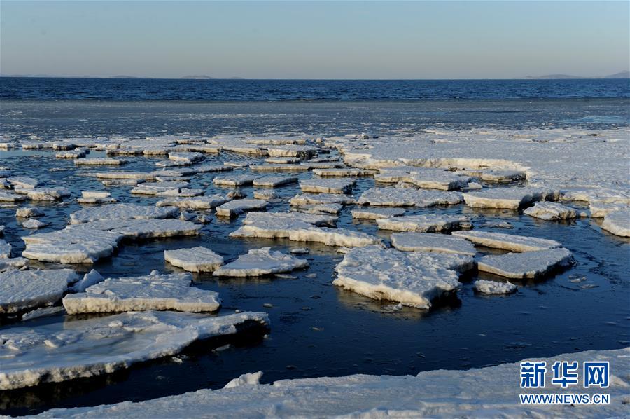 渤海大連北部海域現極地冰原景觀