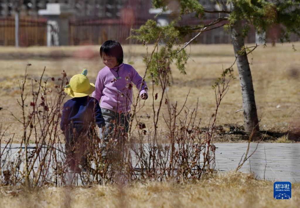 拉鲁湿地露生机