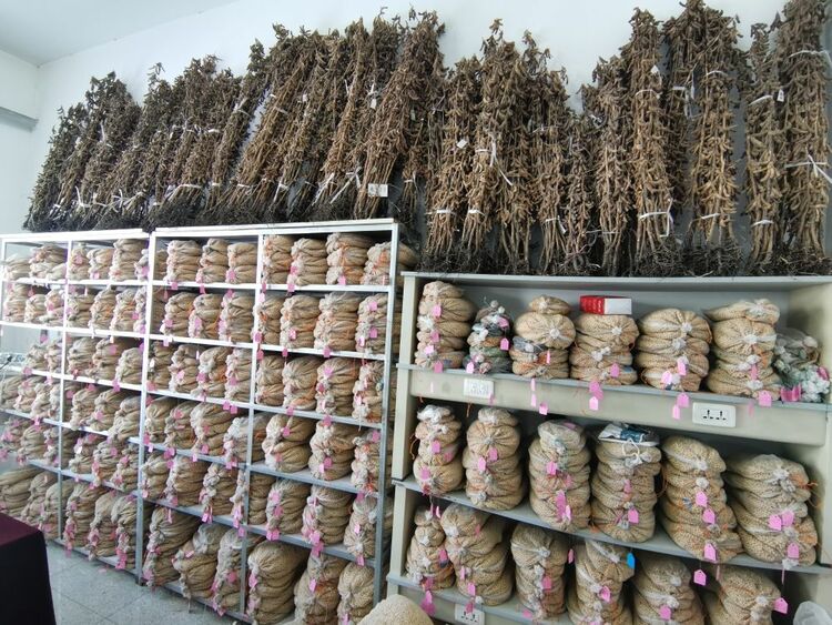 中国攻坚大豆产能提升维护粮食安全