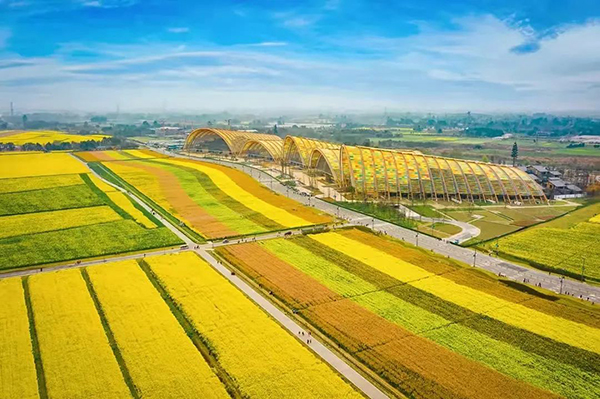 以培育现代乡村产业集群为抓手 成都新津今年“三农”工作这样干_fororder_天府农博岛大田景观-供图-成都市新津区委宣传部