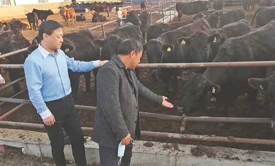 金融活水滋养新农人 哈尔滨银行助力龙江农业现代化十二项工程