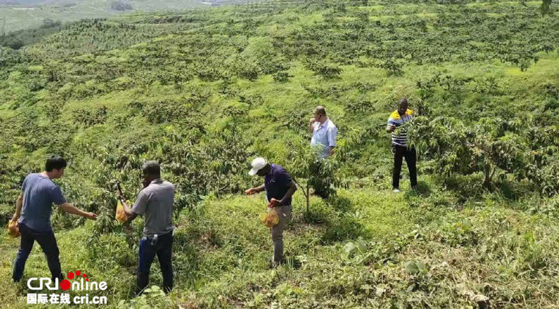 葡语国家新闻官员与记者辽宁行探访中国美丽乡村 挖掘大梨树的实干精神