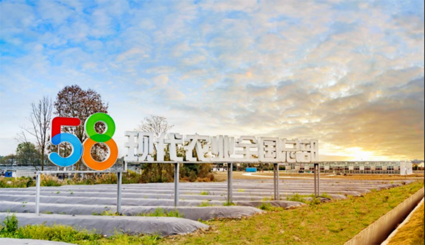 以培育现代乡村产业集群为抓手 成都新津今年“三农”工作这样干_fororder_58现代农业全国总部--供图--成都市新津区委宣传部