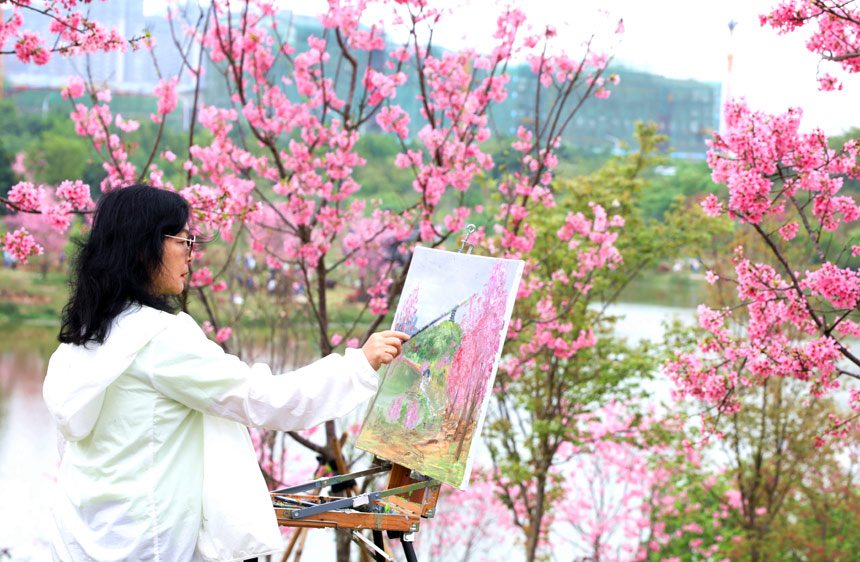 广西南宁：繁花盛开春满城