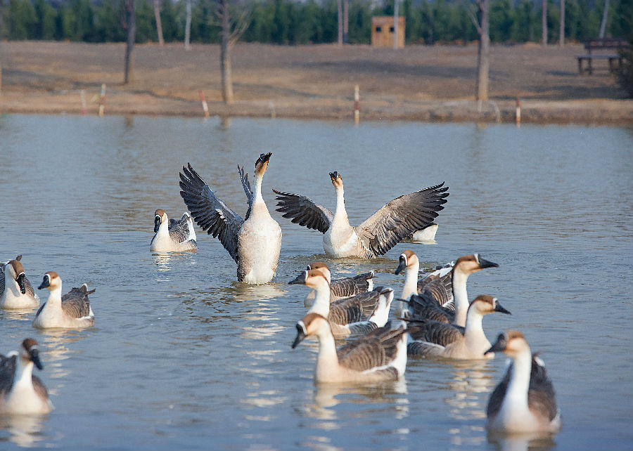 美景山东｜泰山地下大裂谷：在这里体验亚洲最长的地下漂流
