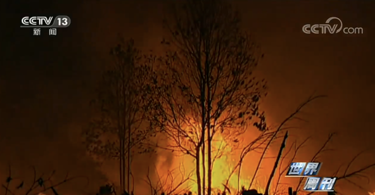 世界周刊丨新冠缘起自动物的病毒偷袭？警惕“人畜共患病”！