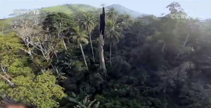 世界周刊丨新冠缘起自动物的病毒偷袭？警惕“人畜共患病”！