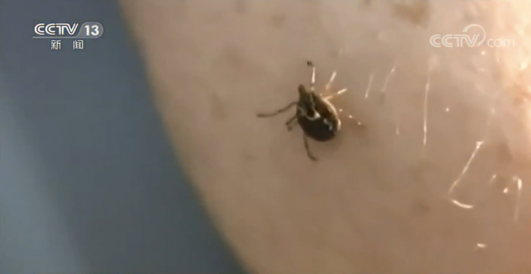 世界周刊丨新冠缘起自动物的病毒偷袭？警惕“人畜共患病”！