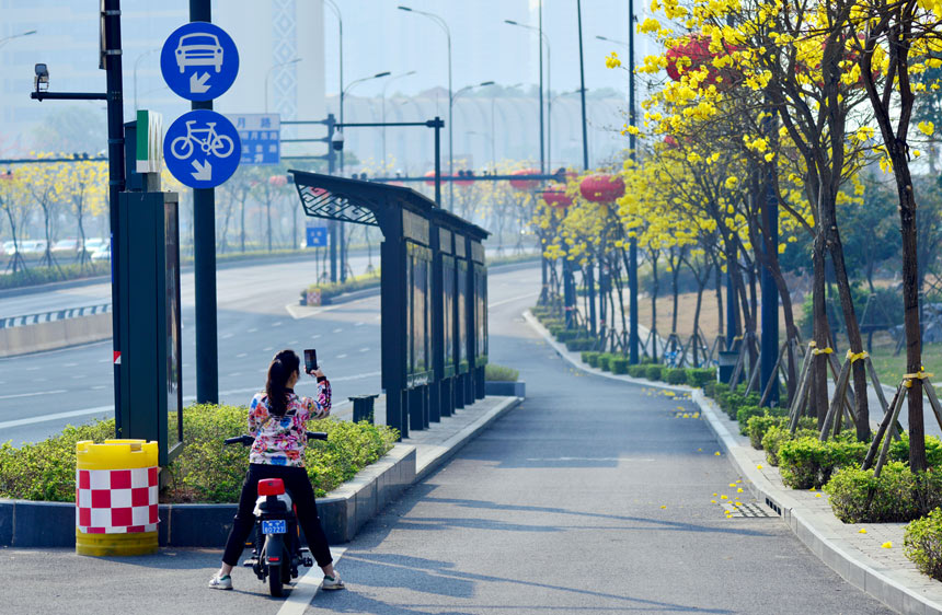 广西南宁：繁花盛开春满城