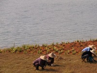 畅游江苏 美丽乡村：在宜兴湖父“换氧”的五种方式（高清组图）