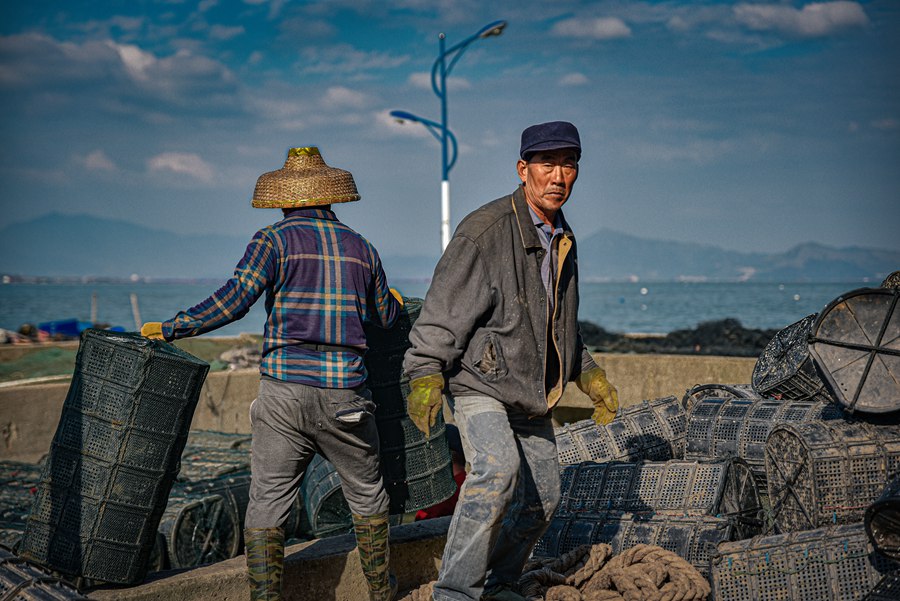 闽东渔岛的诗意生活：渔村换新貌  “致富花”已开_fororder_LOCAL202204120819000323741511539