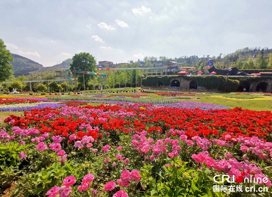 Liupanshui, Guizhou: Sea of Flowers with Picturesque Scenery_fororder_4