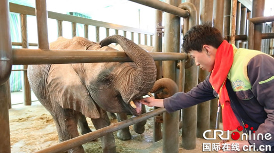 已過審【行遊巴渝 圖文】永川區樂和樂都野生動物世界動物過冬妙招多