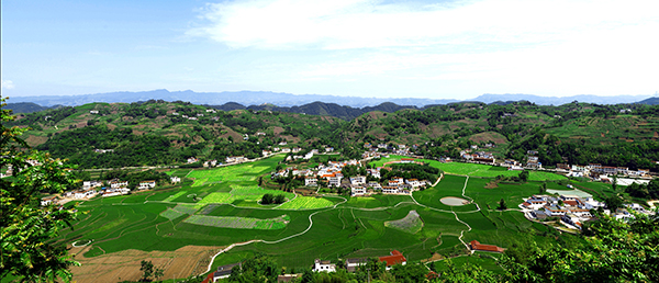 宜宾高县加速推动农业大县向农业强县跨越_fororder_景村相融