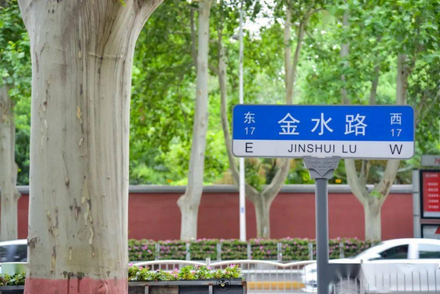 万绿生态少球无球法桐 将郑州浪漫进行到底