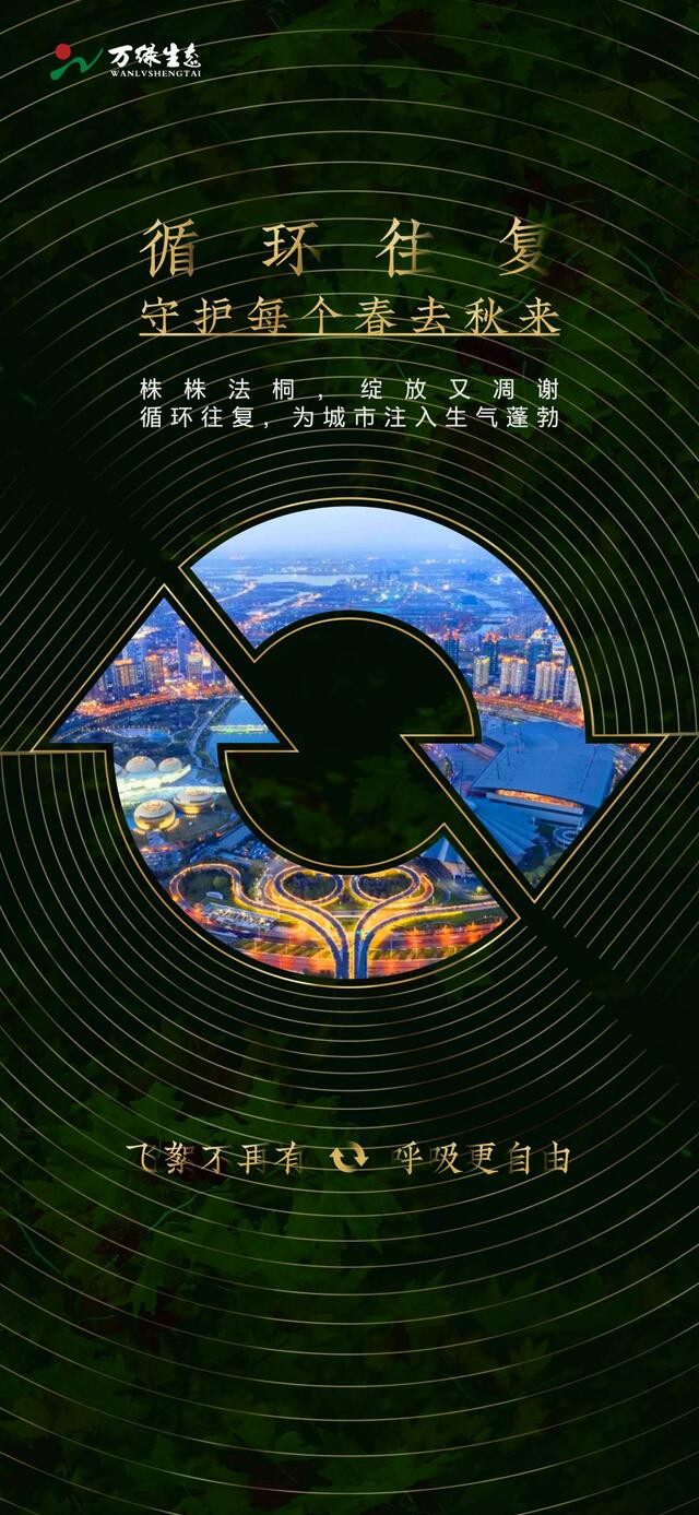 万绿生态少球无球法桐 伴你我一同踏青赏春