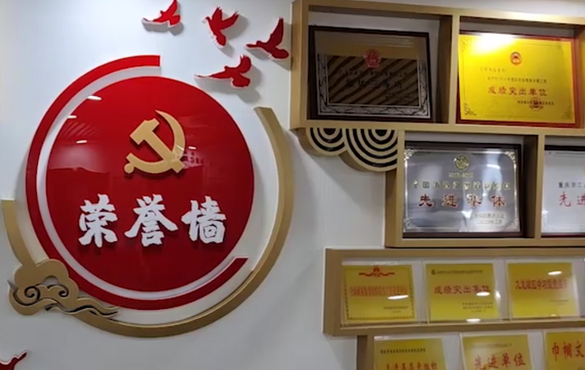 九龙坡区知识产权局蓄力开启“十四五”知识产权工作新局面_fororder_12