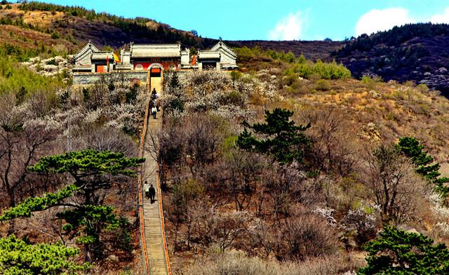 “漫步门头沟，花开山水间” 2022年门头沟春季踏青赏花季绚烂开启_fororder_115-03妙峰山春色