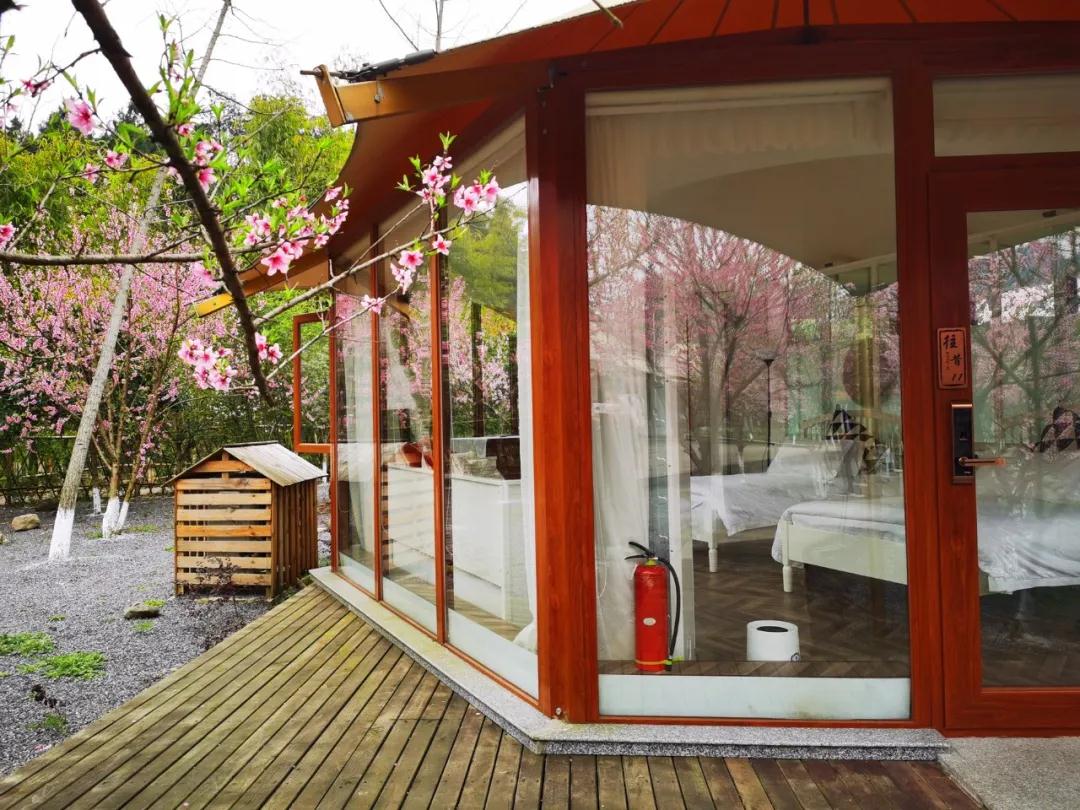 （中首）春日寻芳多彩贵州丨花海民宿 依花伴月入梦来