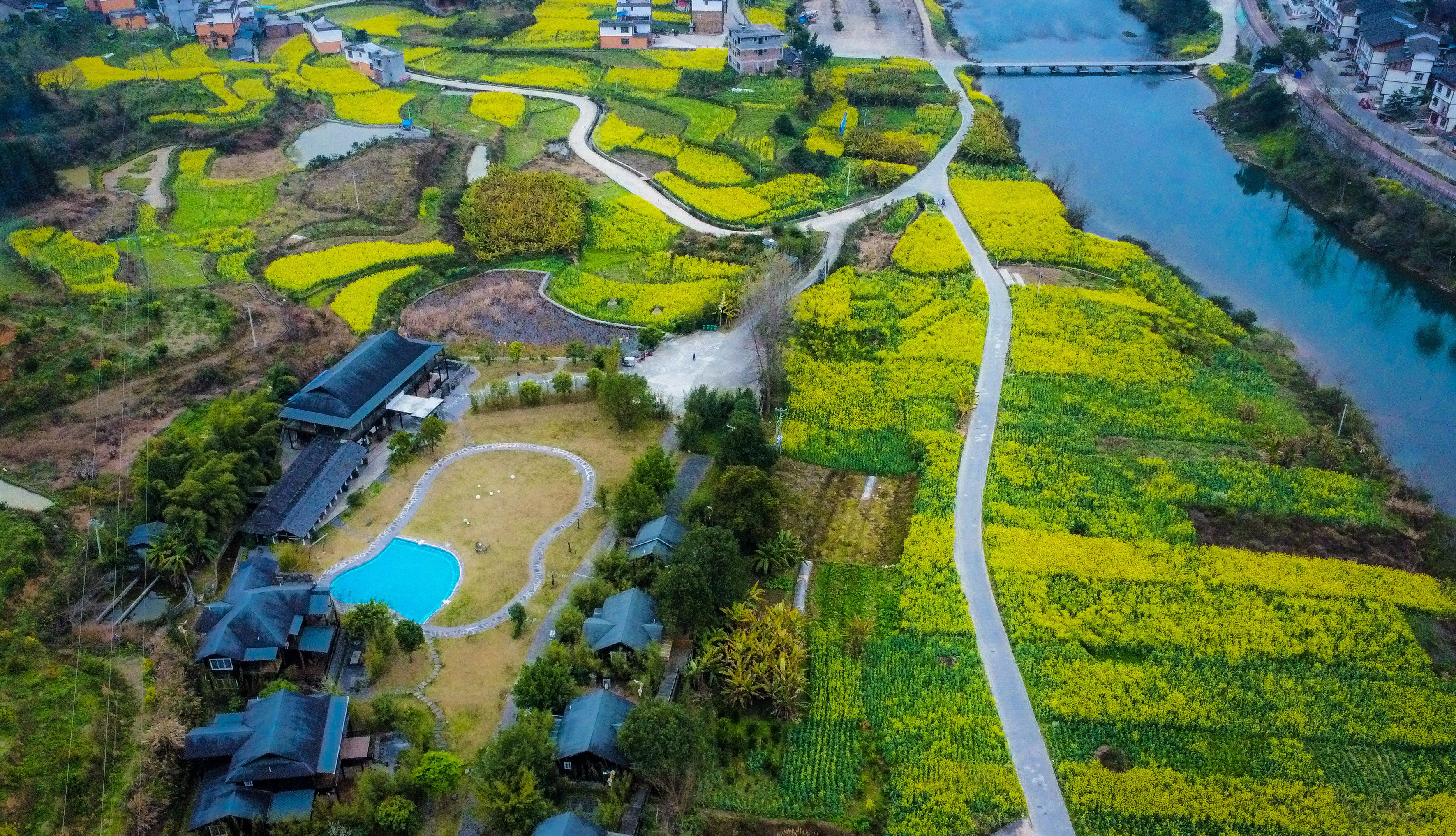 （中首）春日寻芳多彩贵州丨花海民宿 依花伴月入梦来
