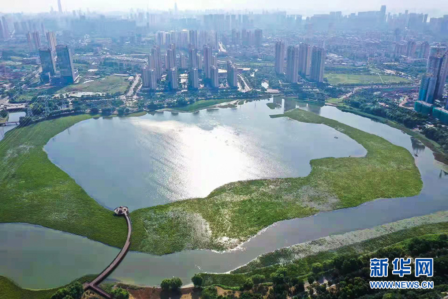 生态治理造就美丽河湖——武汉水环境治理观察