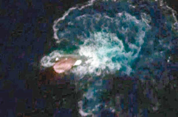 南極疑現巨型海怪觸須長達30米 網友：海洋UFO