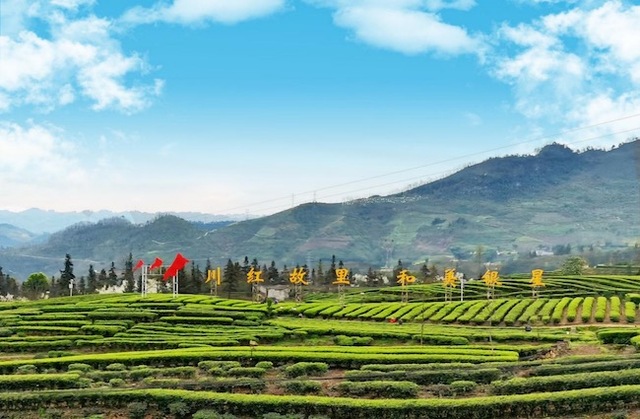 四川筠连高质量推进建设“中国红茶第一县”_fororder_LOCAL202203241525000488197948553